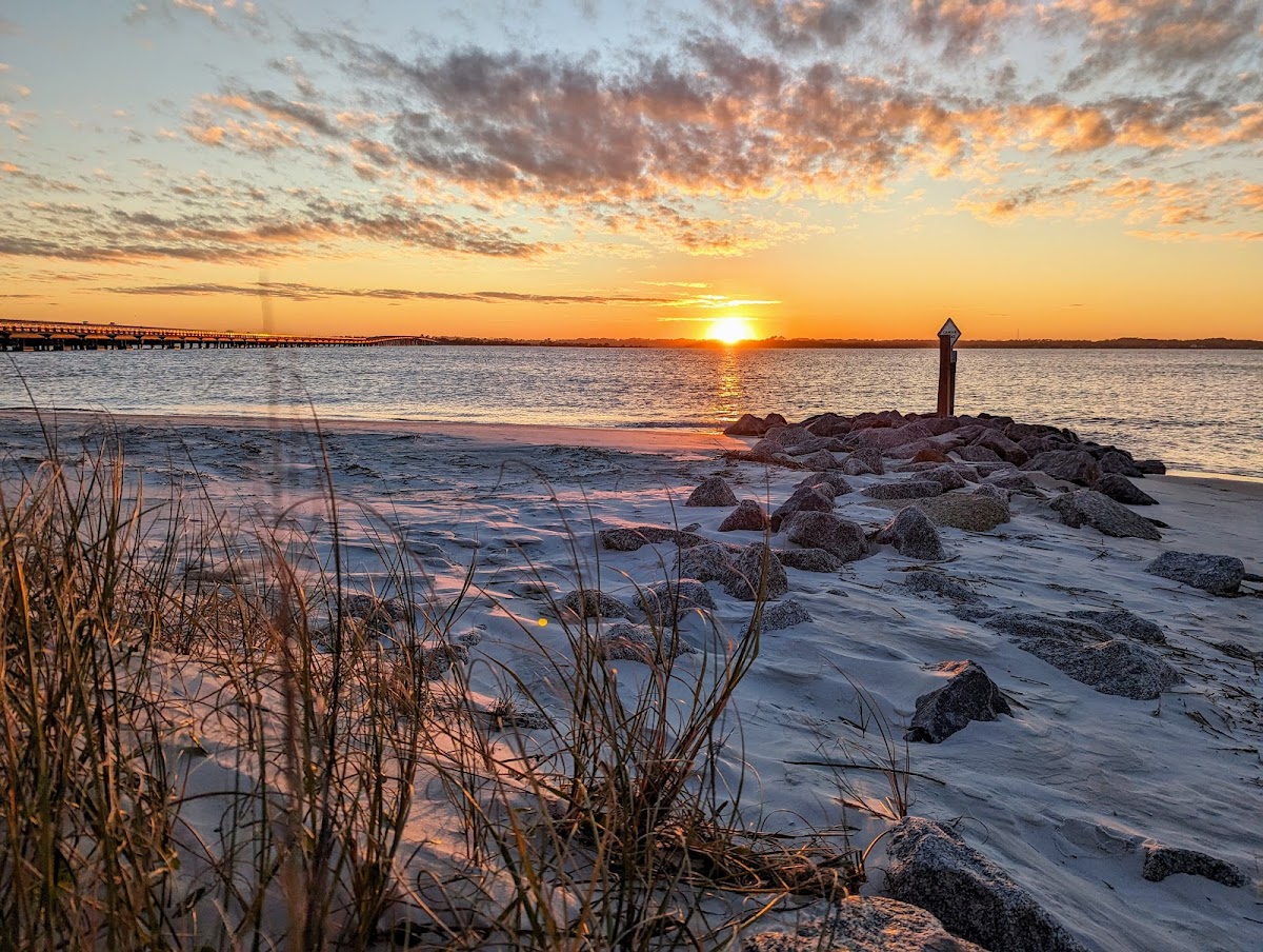 Amelia Island State Park photo 3
