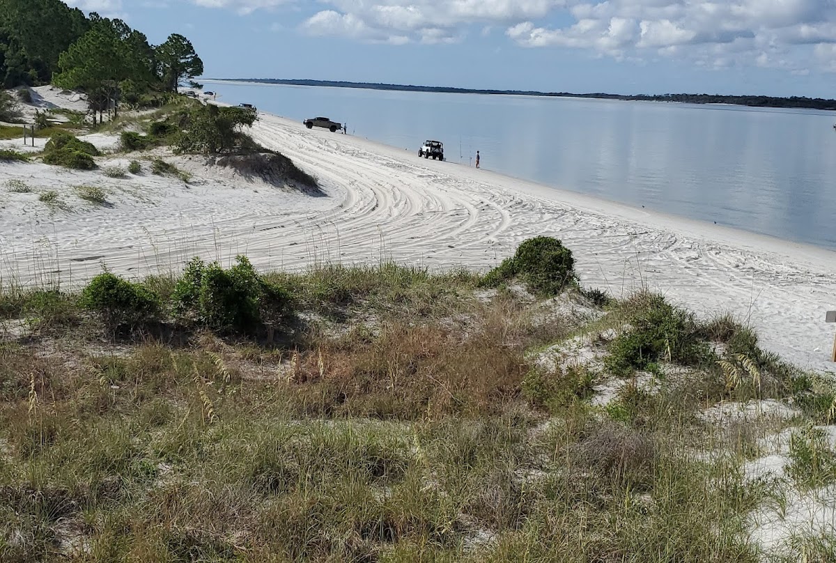 Amelia Island State Park photo 6