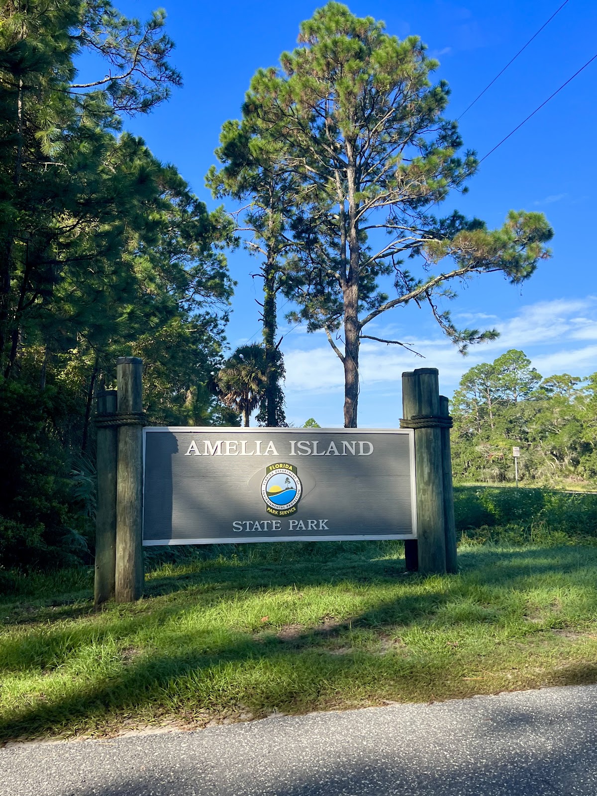 Amelia Island State Park photo 8