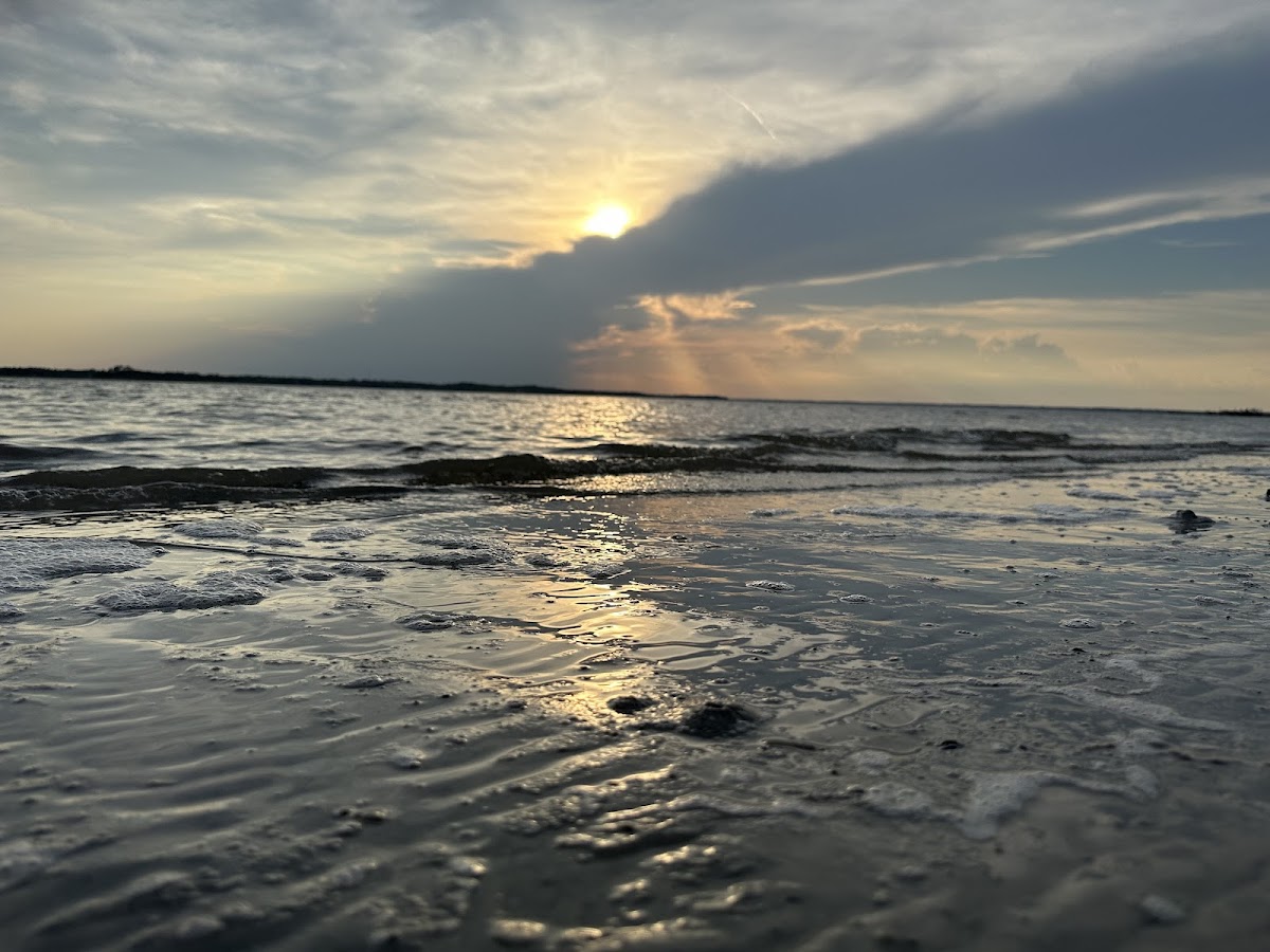 Amelia Island State Park photo 9