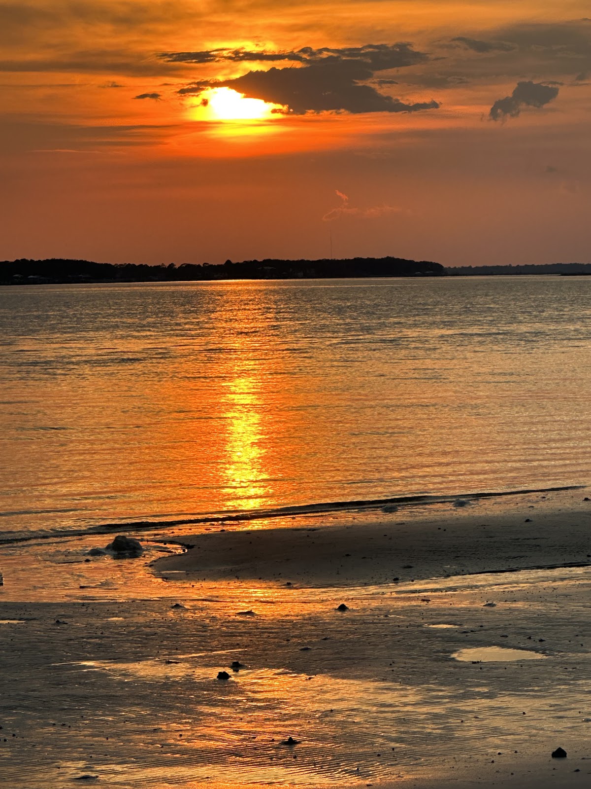 Amelia Island State Park photo 10