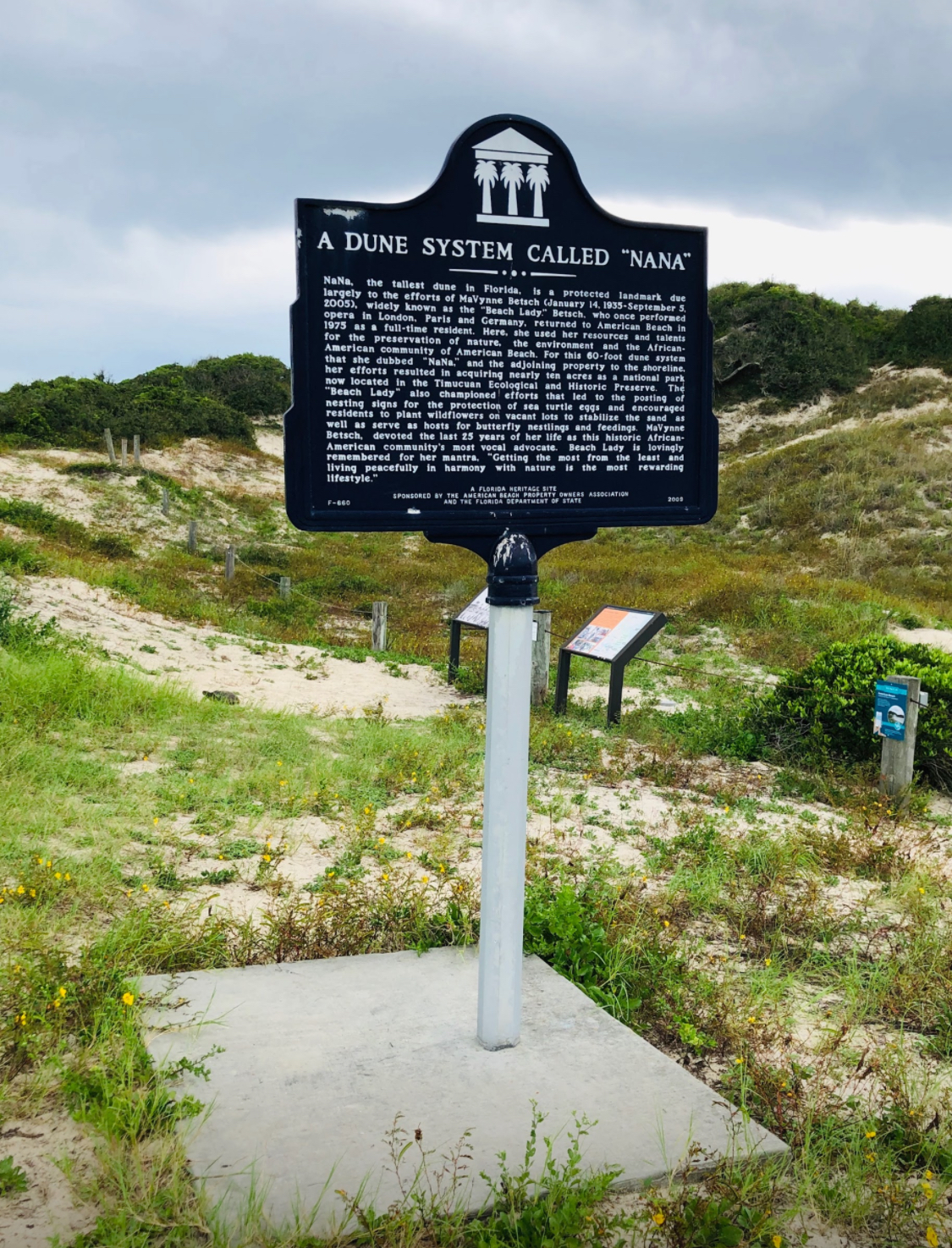 American Beach Nana Sand Dune photo 1