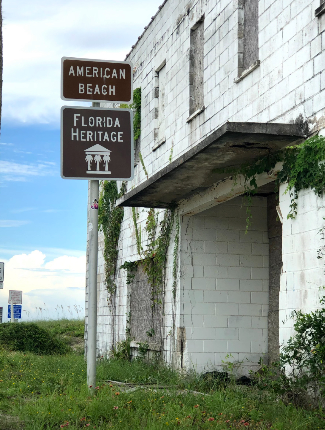 American Beach Nana Sand Dune photo 2