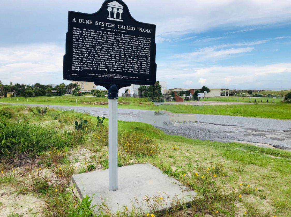 American Beach Nana Sand Dune photo 5