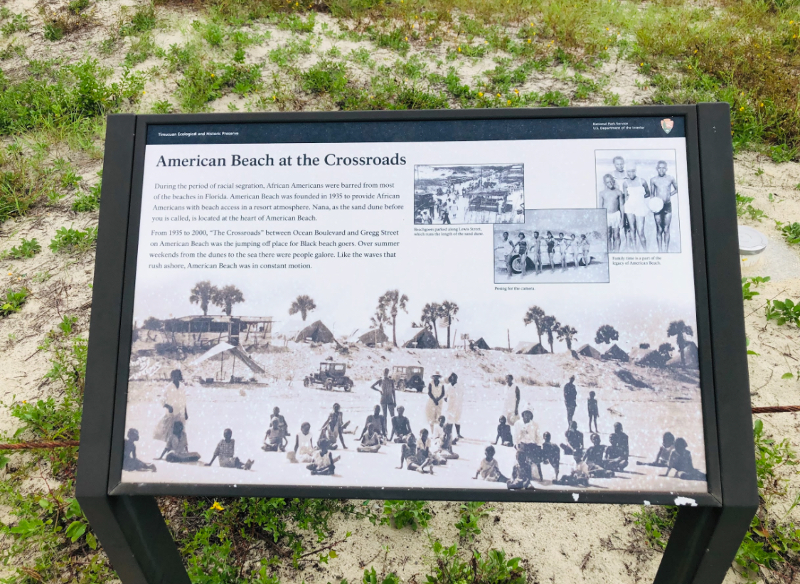 American Beach Nana Sand Dune photo 6