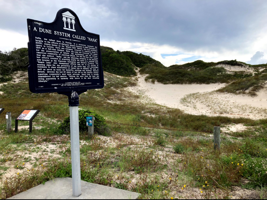 American Beach Nana Sand Dune photo 7