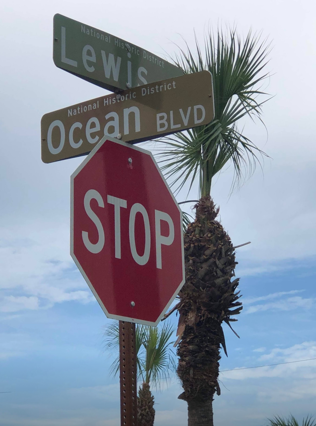 American Beach Nana Sand Dune photo 8