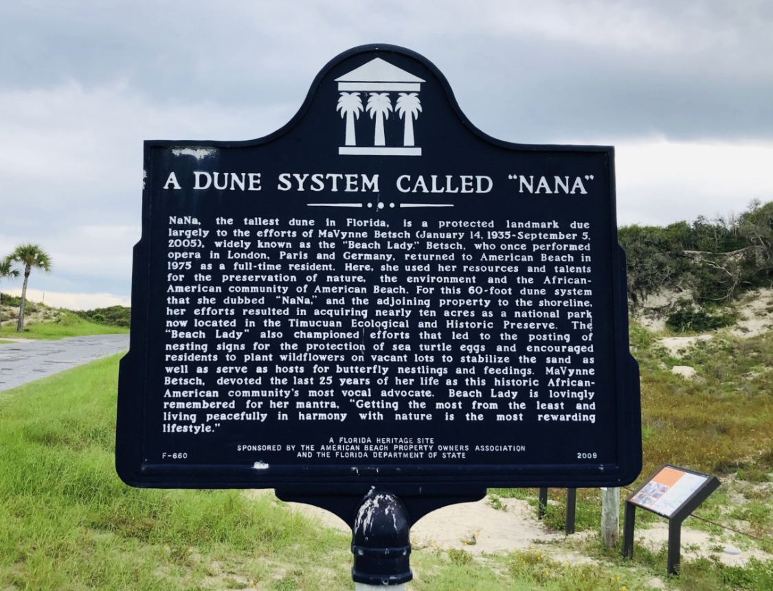 American Beach Nana Sand Dune photo 9