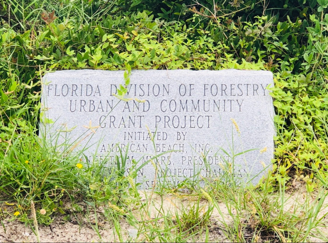 American Beach Nana Sand Dune photo 10