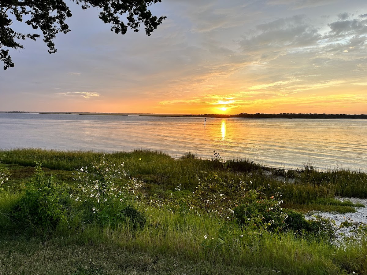 Fernandina Plaza Historic State Park photo 7