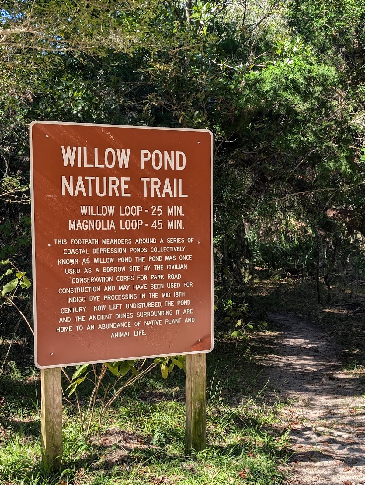Fort Clinch State Park photo 10