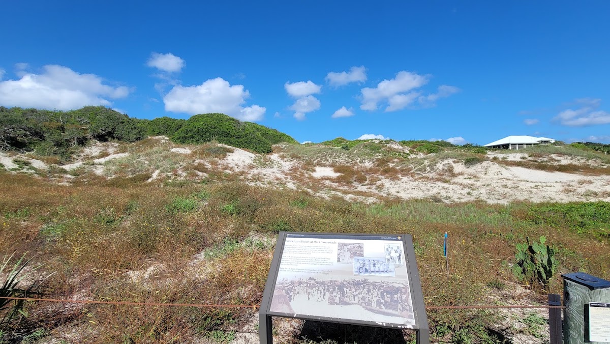 Nana Dune - Tallest in Florida photo 1