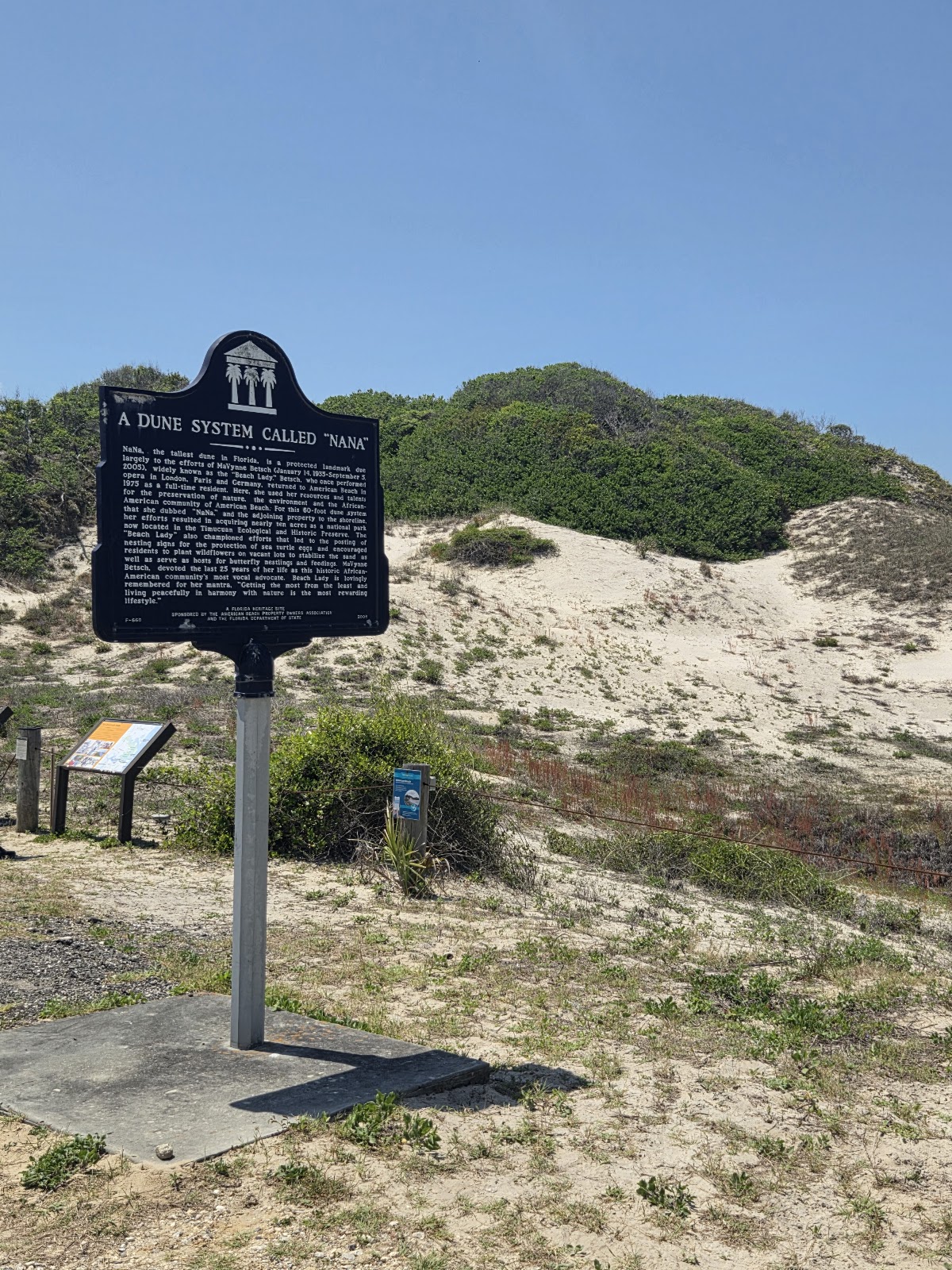 Nana Dune - Tallest in Florida photo 2