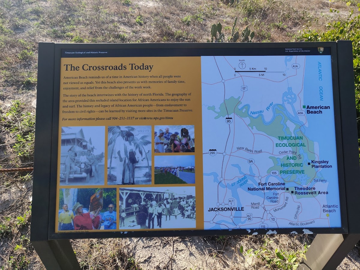 Nana Dune - Tallest in Florida photo 3