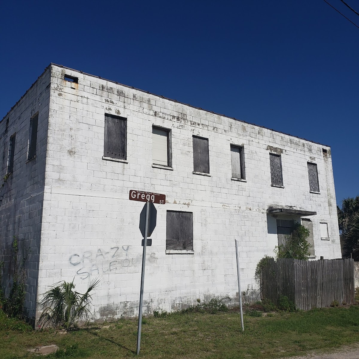 Nana Dune - Tallest in Florida photo 4