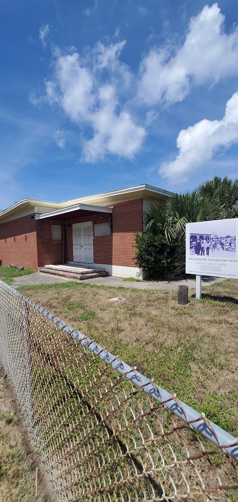 Nana Dune - Tallest in Florida photo 5