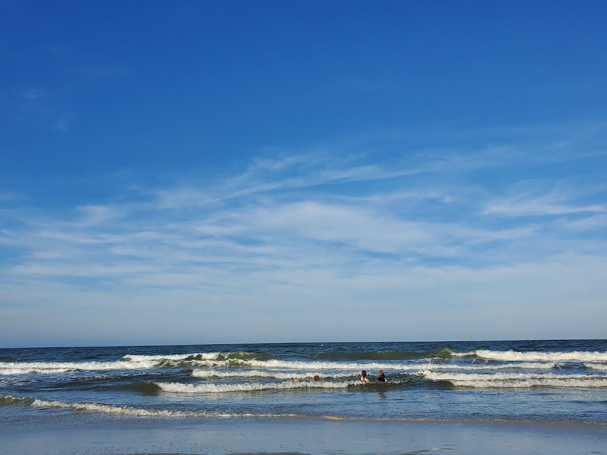 Nana Dune - Tallest in Florida photo 7