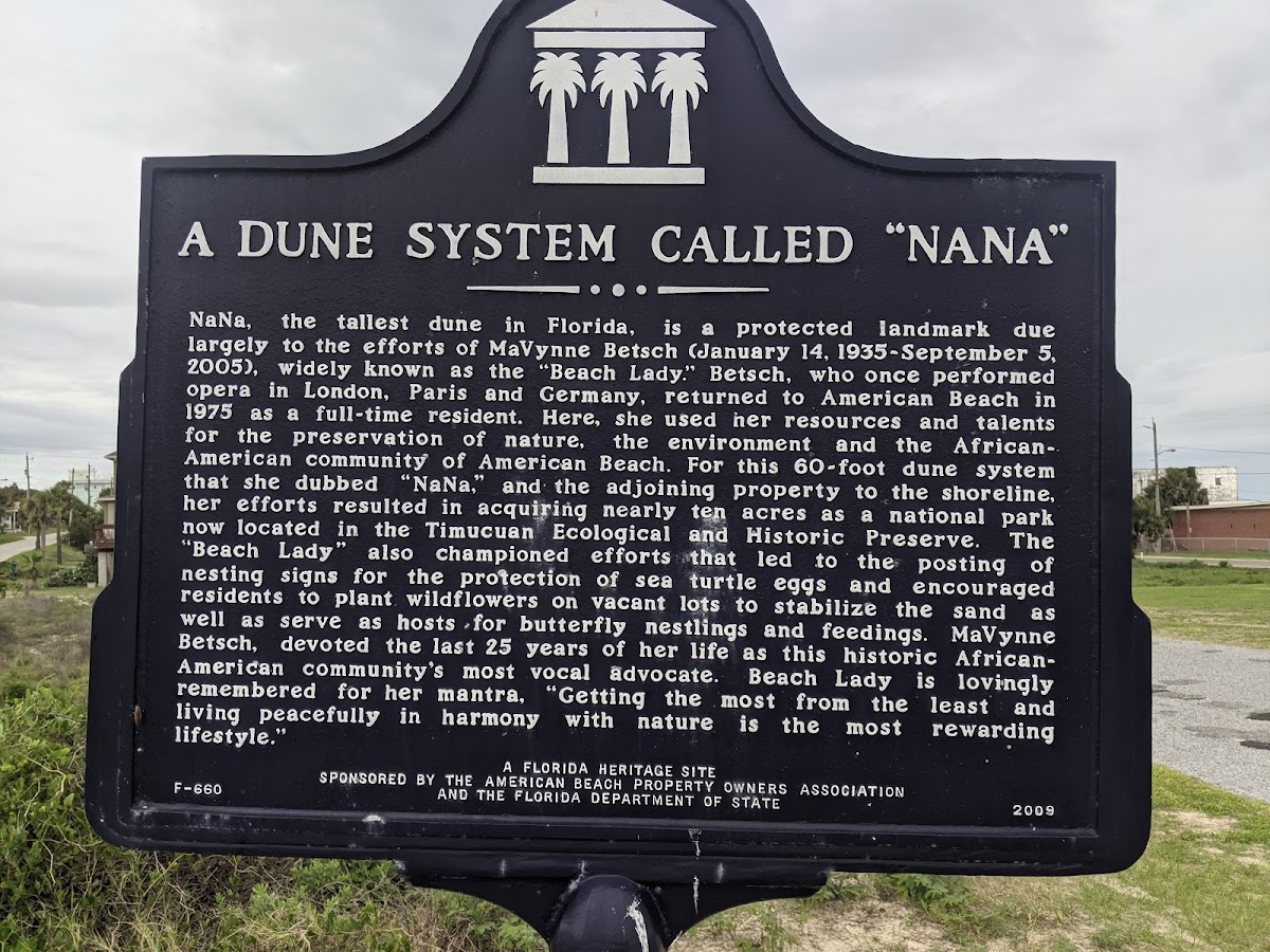 Nana Dune - Tallest in Florida photo 9