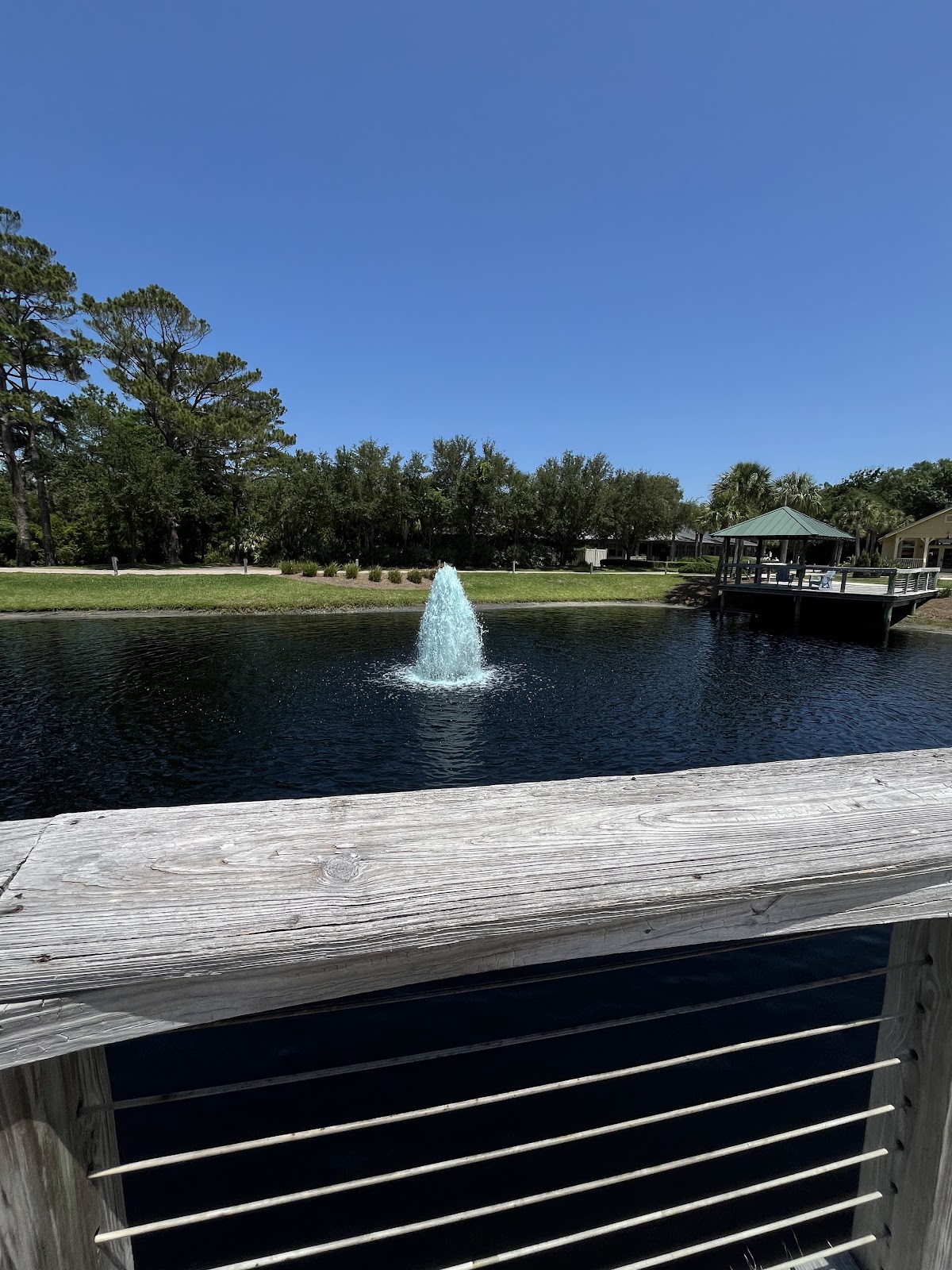 Marché Burette photo 10