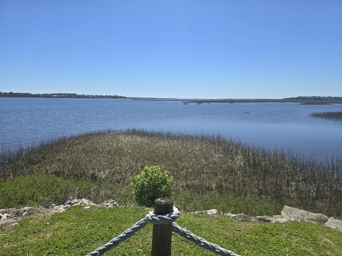 Shucker's Oyster Bar & Grill photo 8