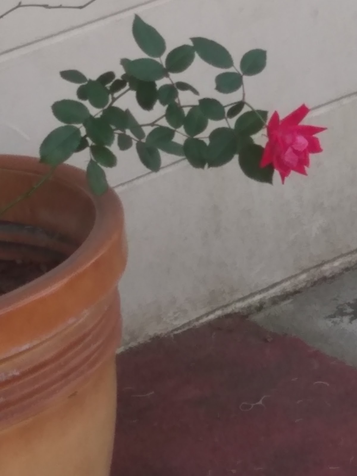 Trulieve Fernandina Beach Dispensary photo 6