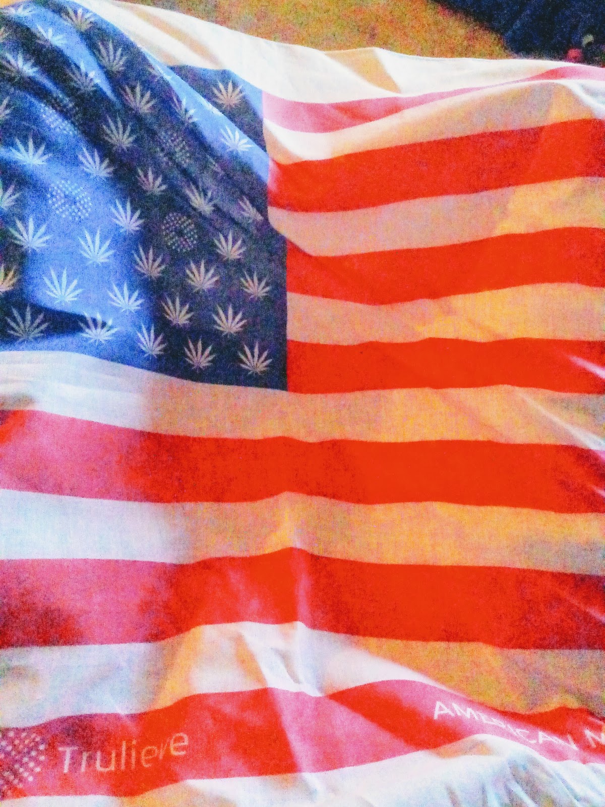 Trulieve Fernandina Beach Dispensary photo 10