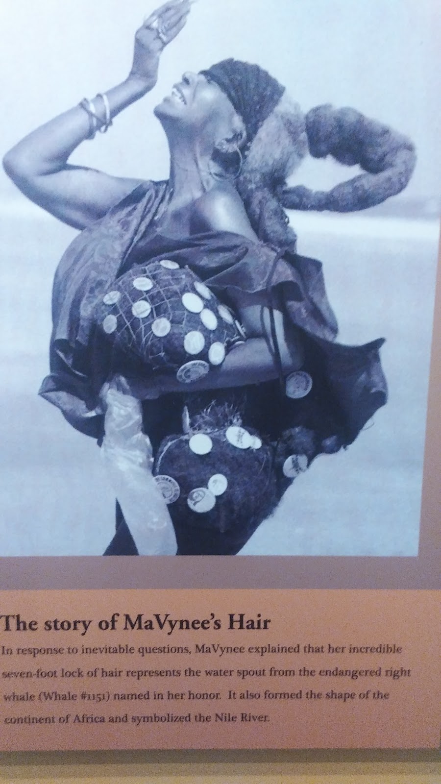 A.L. Lewis Museum at American Beach photo 9