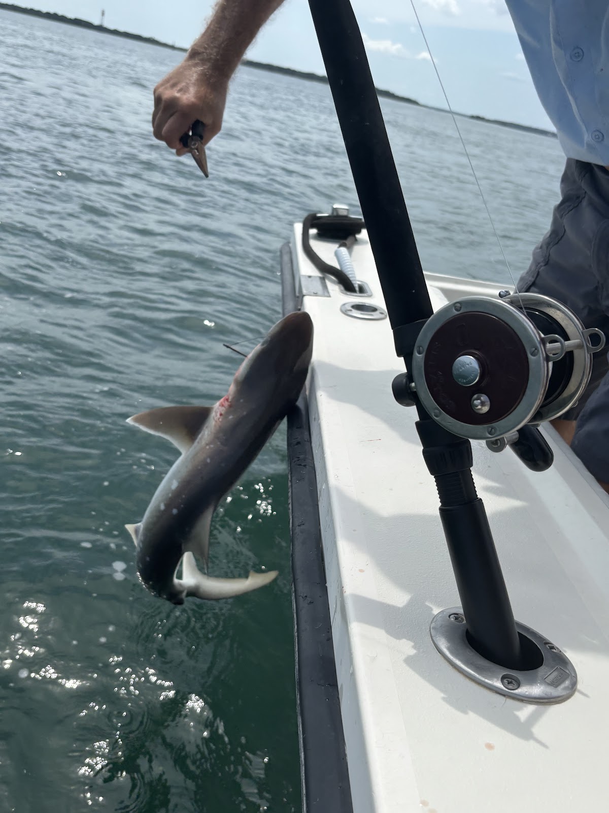 Amelia Family Fishing Charters photo 7