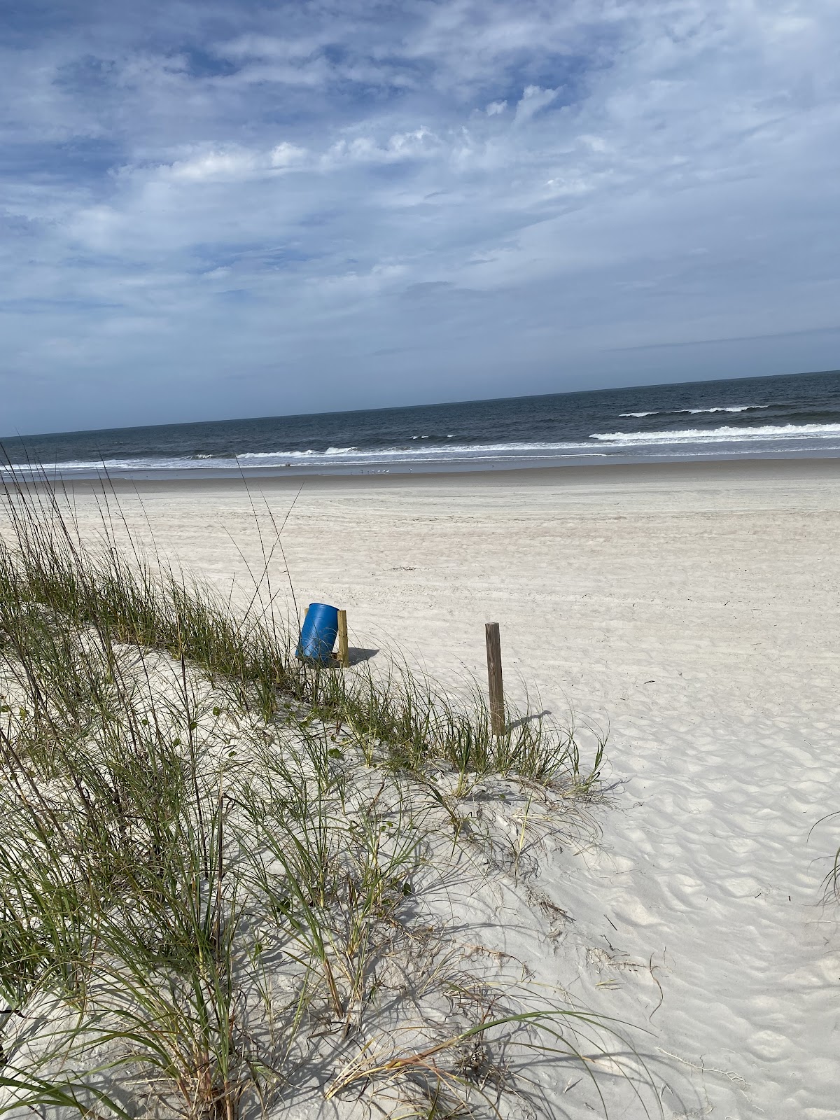 Amelia Island Board Rental Tours photo 6