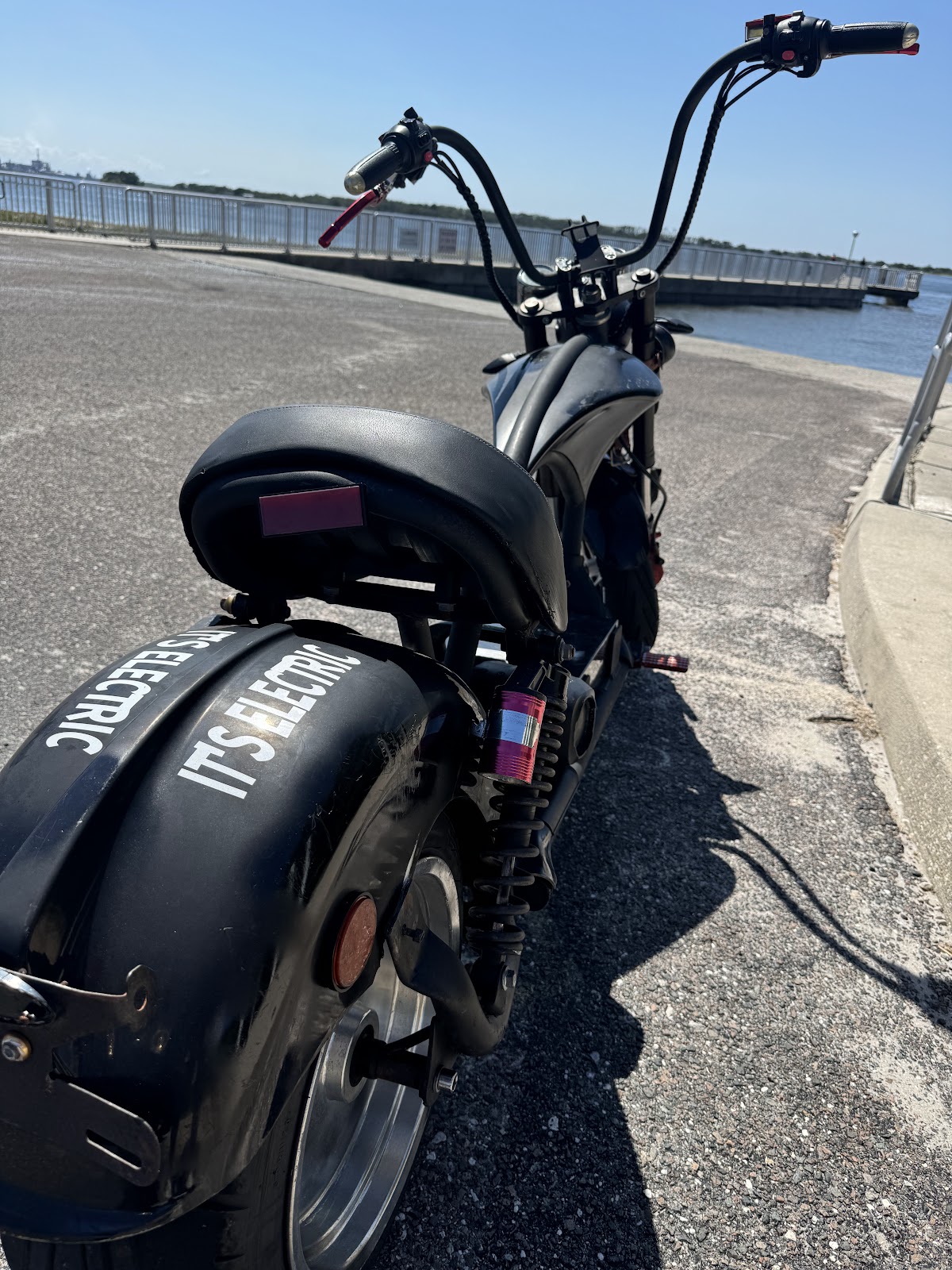 Amelia Island Board Rental Tours photo 9