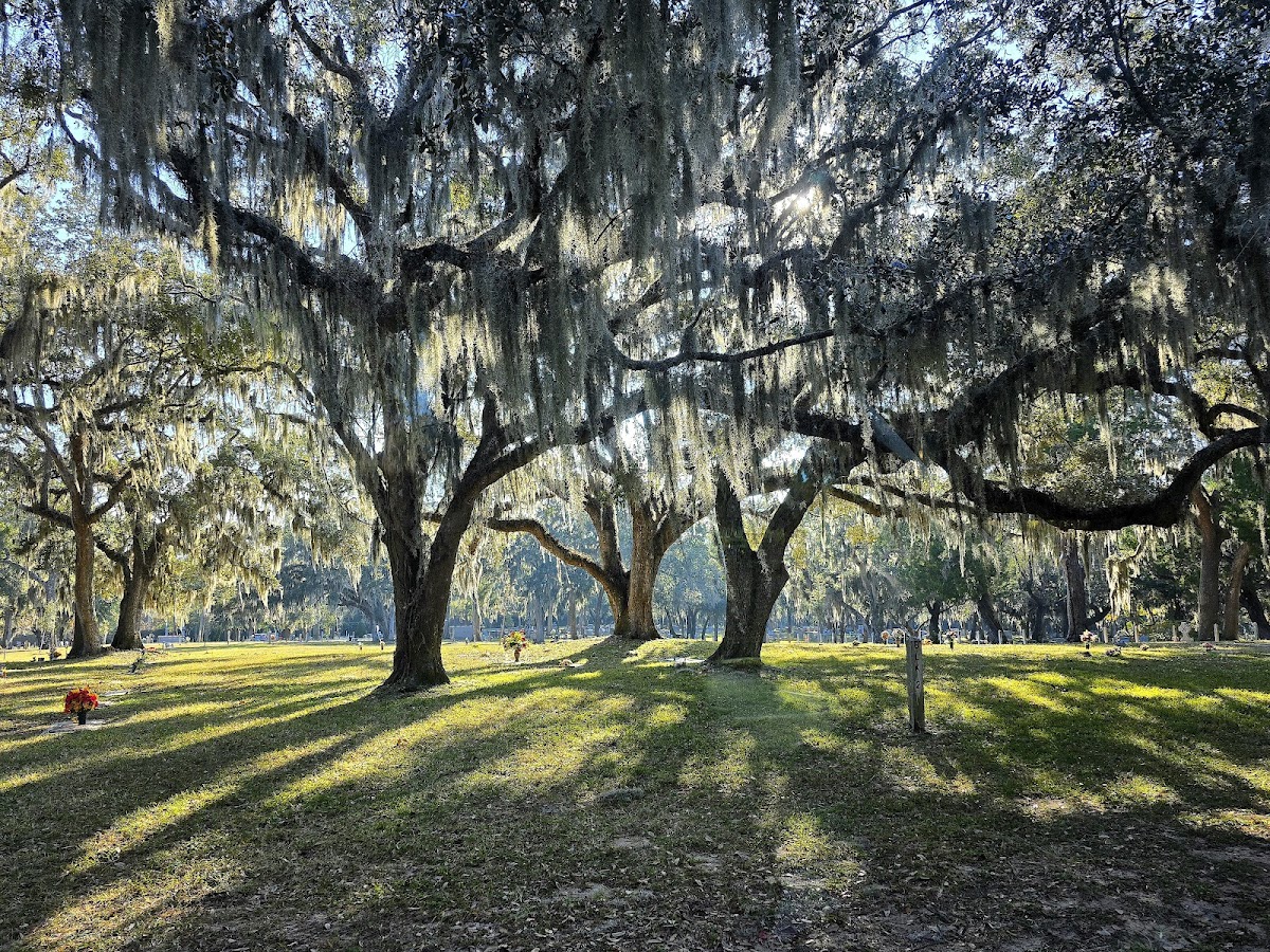 Amelia Island Historic Tours photo 5