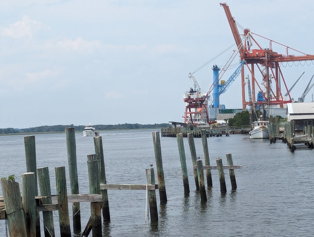 Amelia Island Historic Tours photo 9