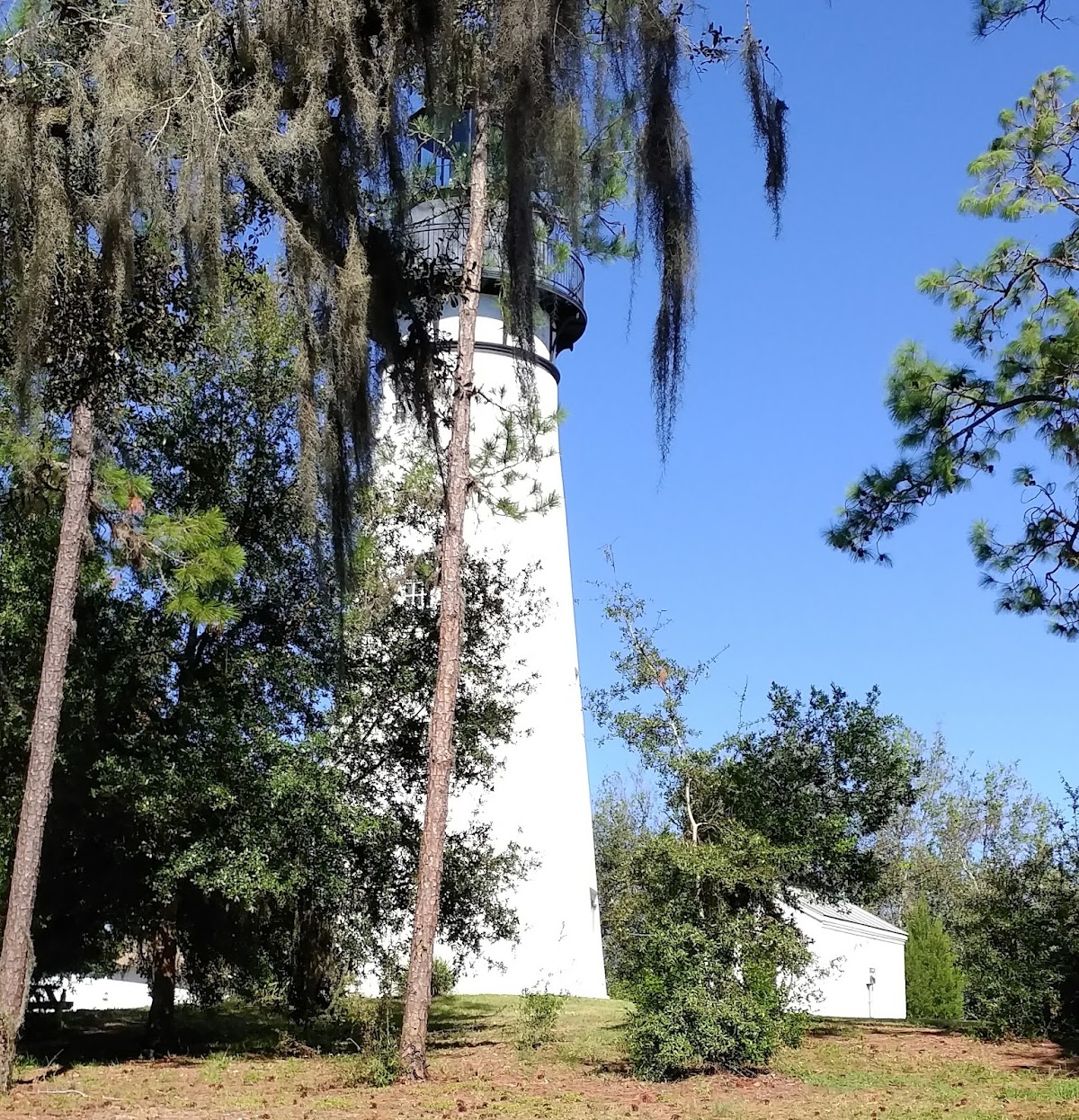Amelia Island Lighthouse photo 4