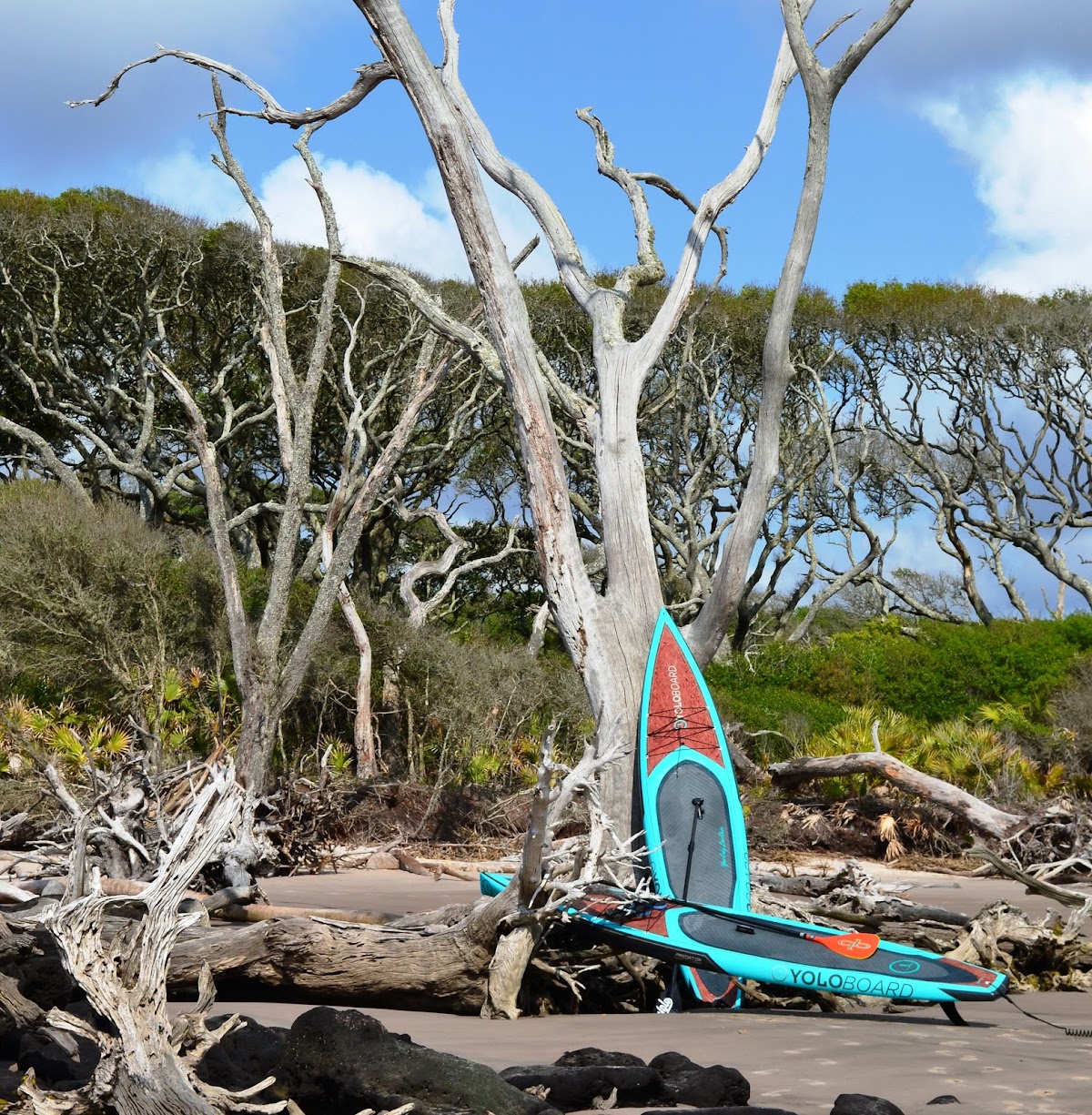 Amelia Island Paddle Surf Company photo 3