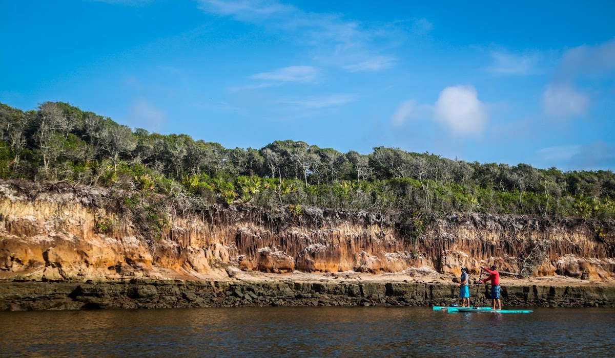 Amelia Island Paddle Surf Company photo 7
