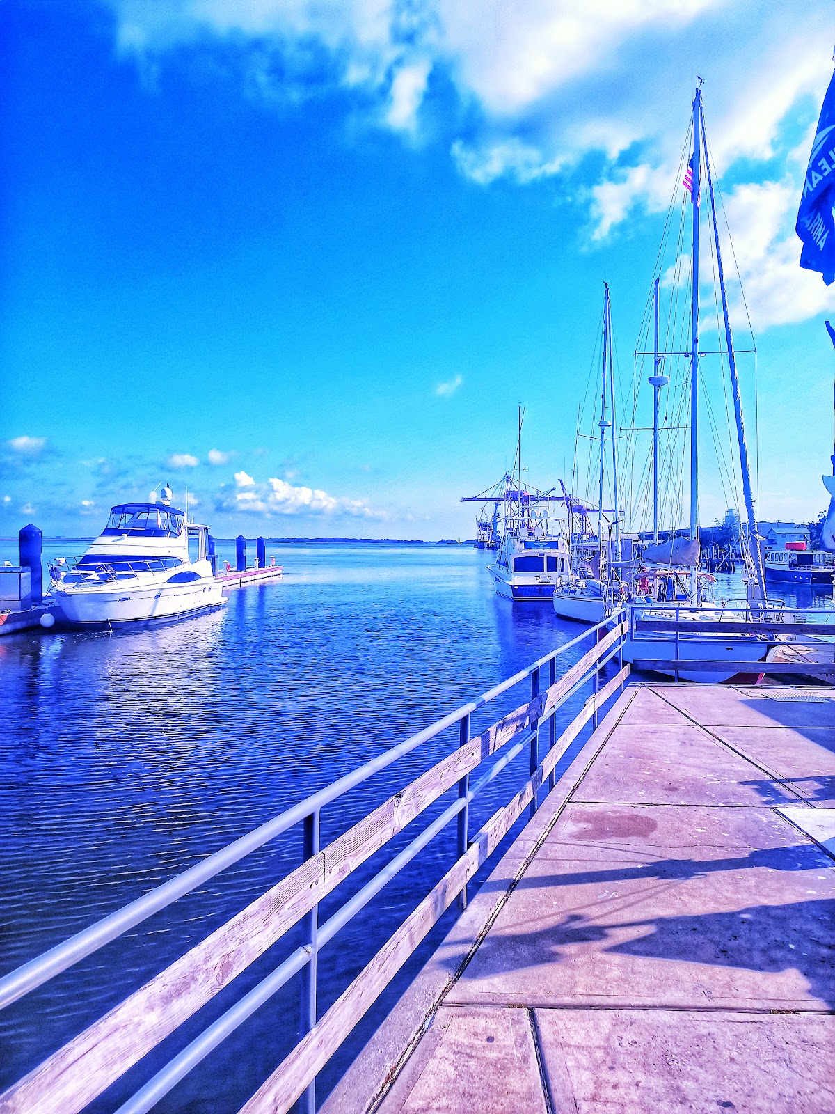 Amelia Island Welcome Center photo 5