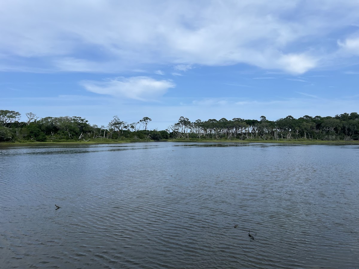 Birdwatch Station. photo 1