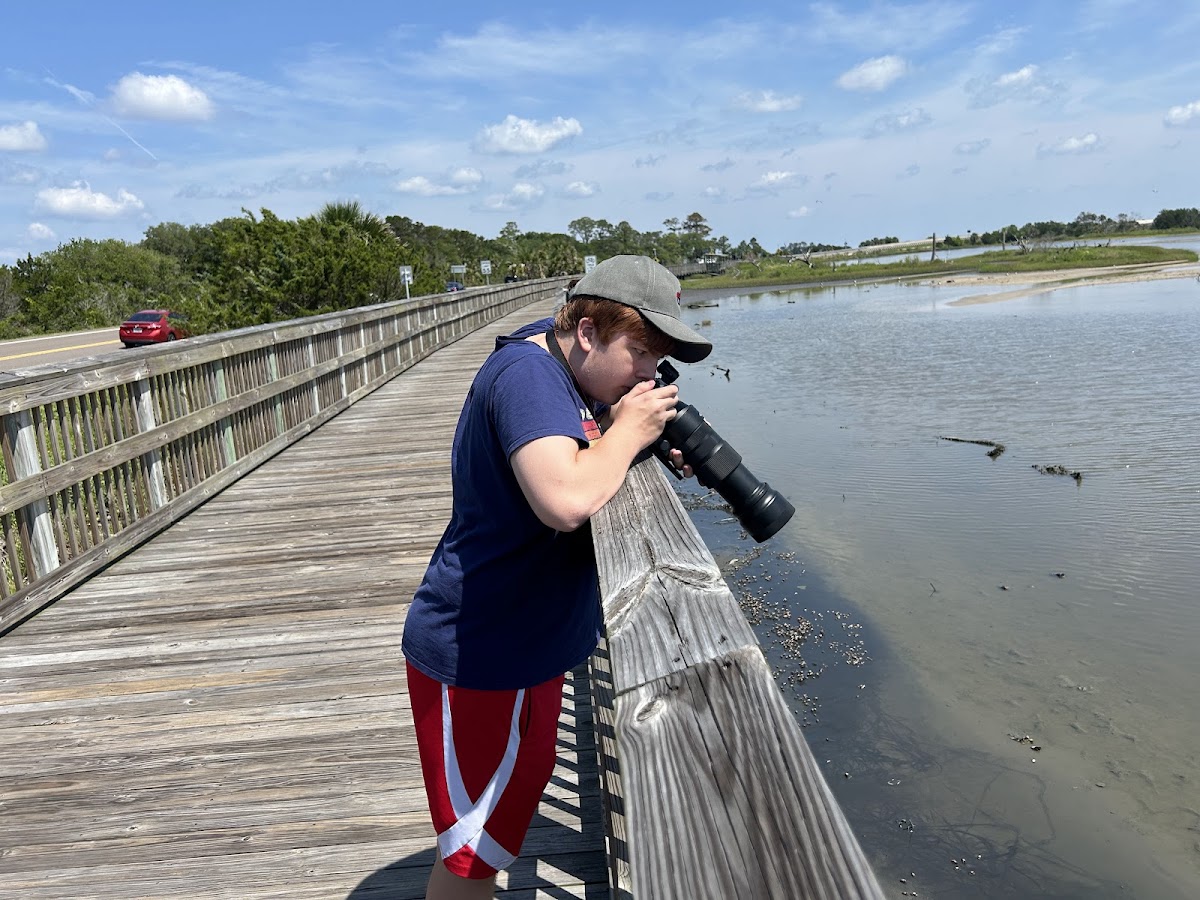 Birdwatch Station. photo 2