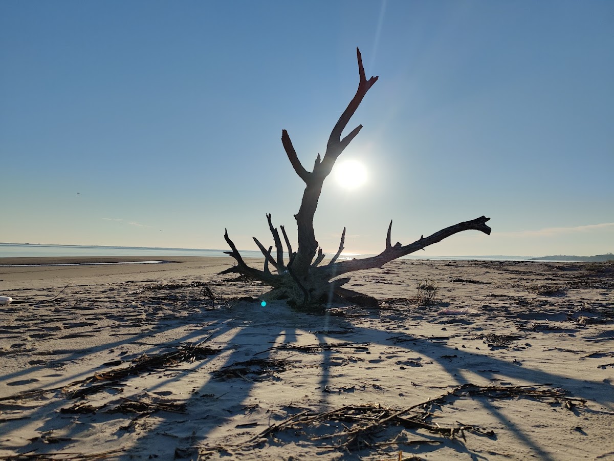 Birdwatch Station. photo 3