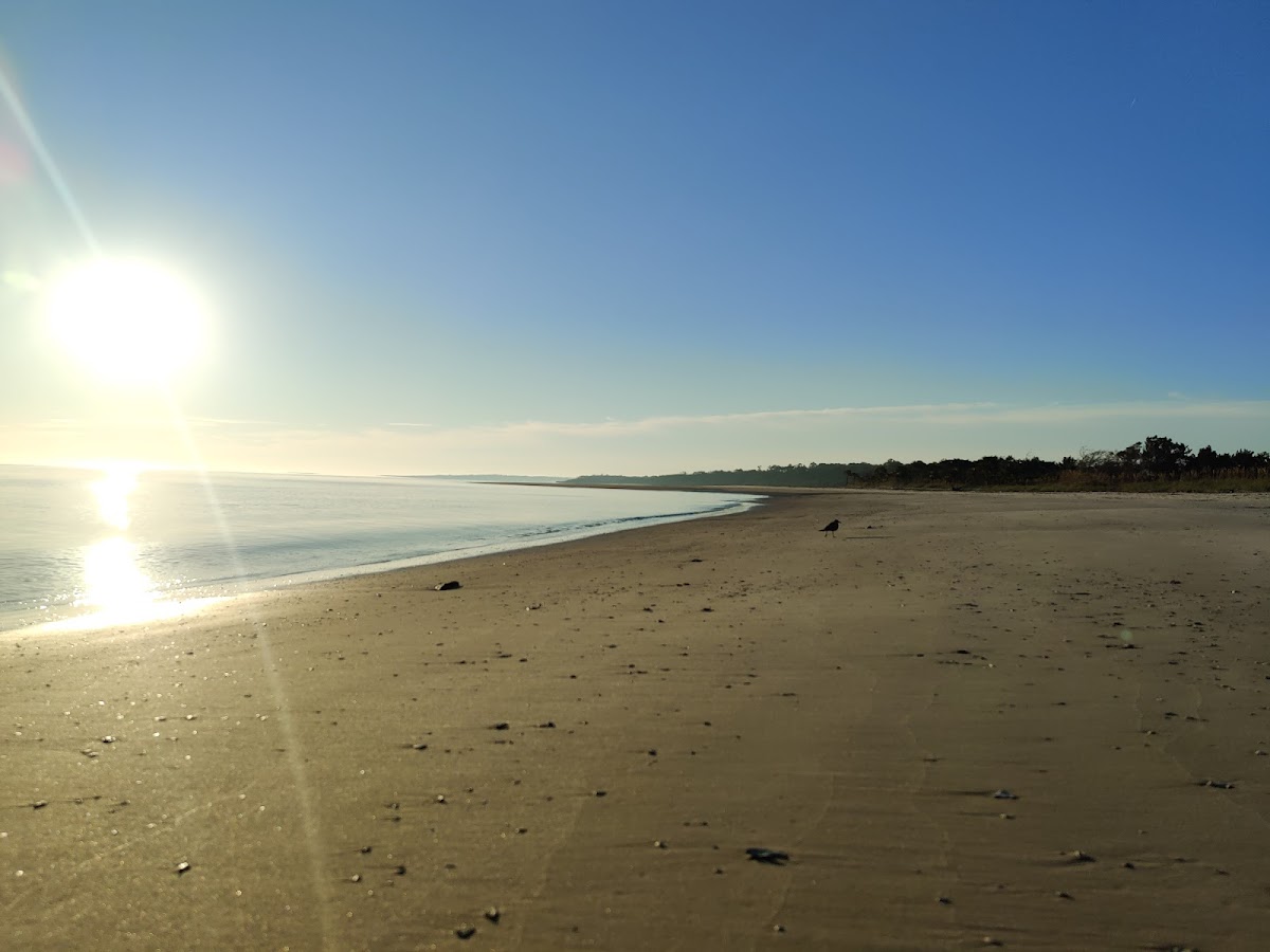 Birdwatch Station. photo 5
