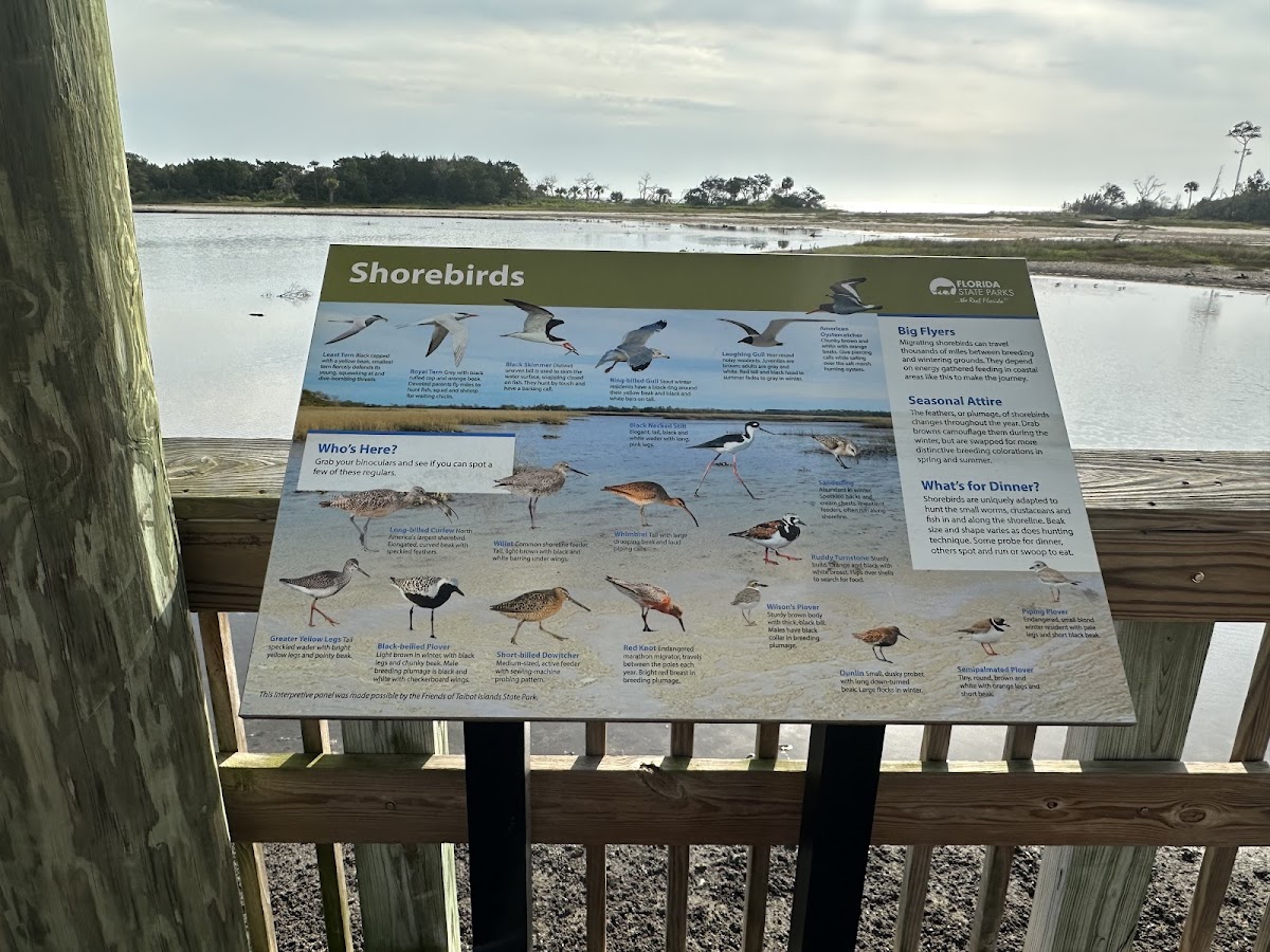 Birdwatch Station. photo 6