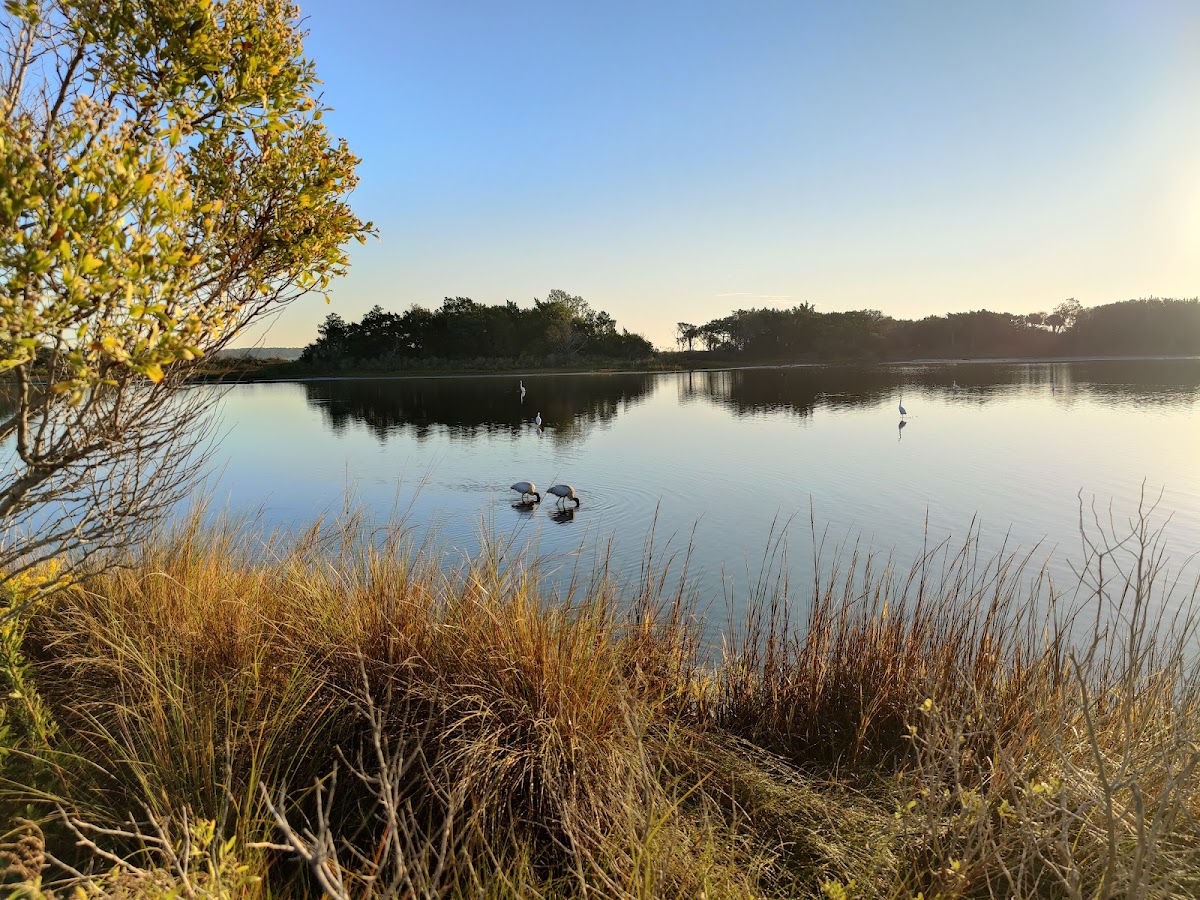 Birdwatch Station. photo 8