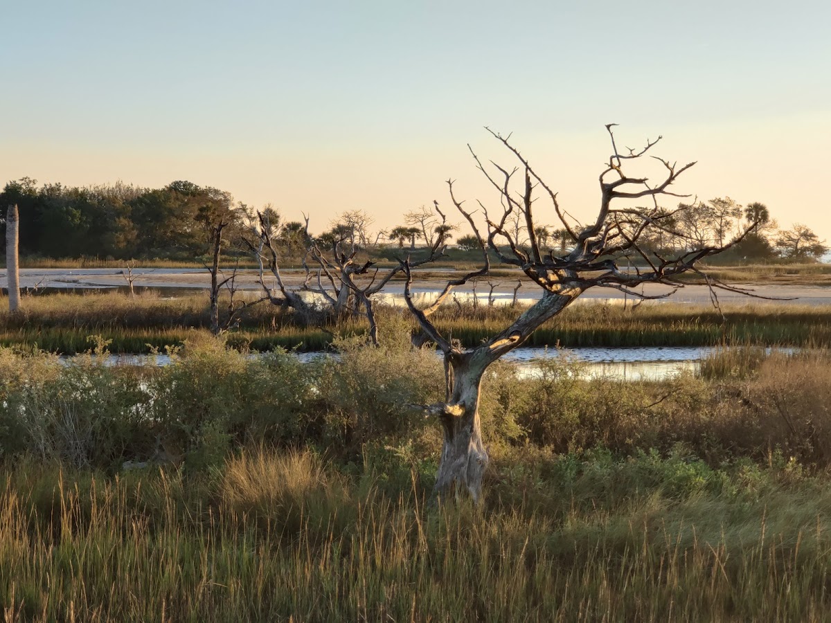 Birdwatch Station. photo 9