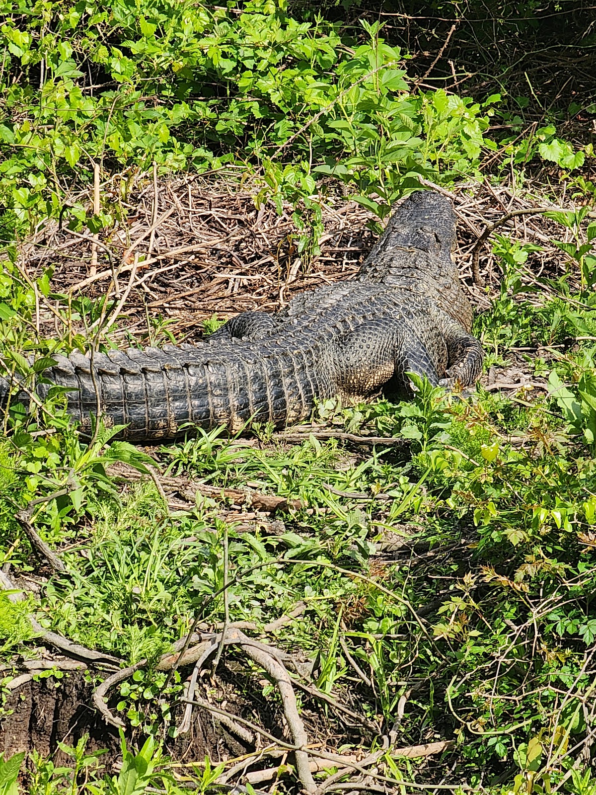 Egan's Creek Greenway Trail photo 1