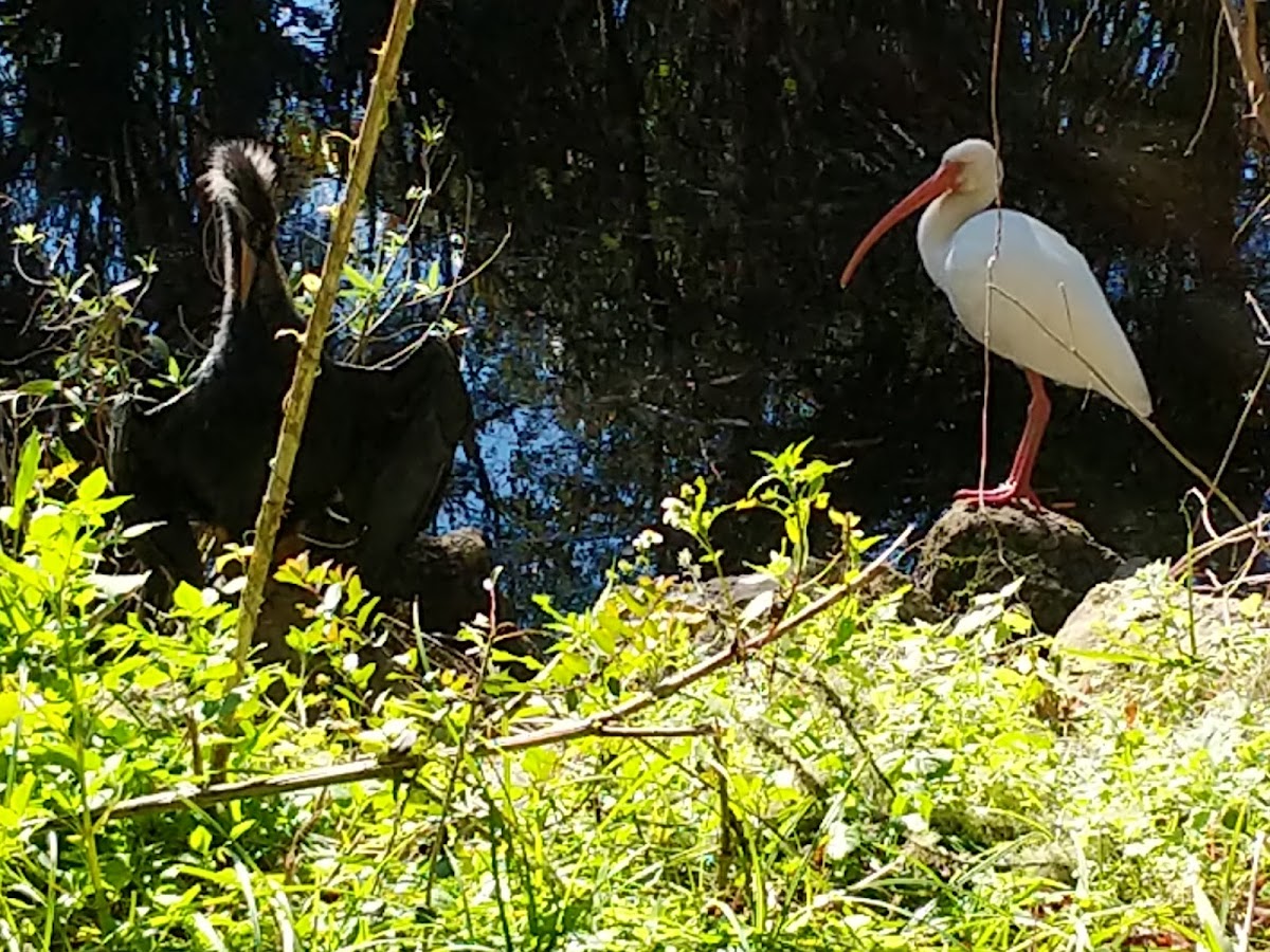 Egan's Creek Greenway Trail photo 3