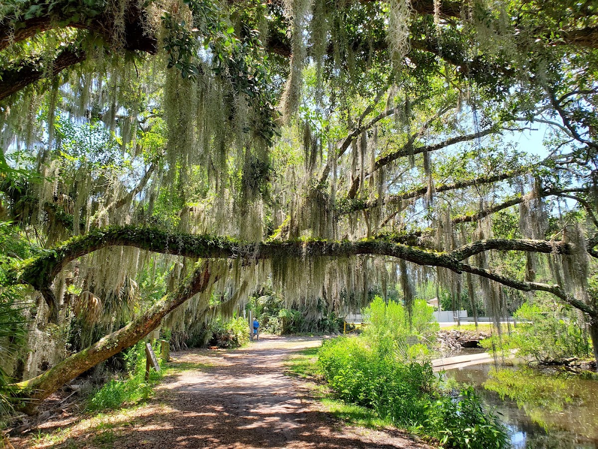 Egan's Creek Greenway Trail photo 5