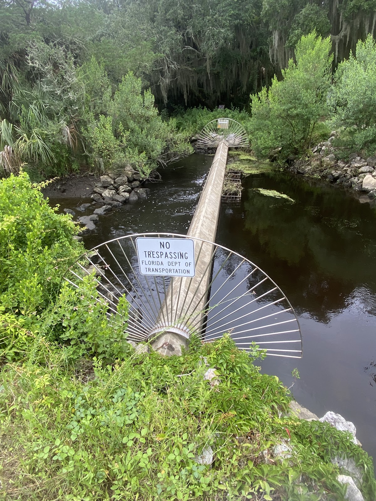 Egan's Creek Greenway Trail photo 7