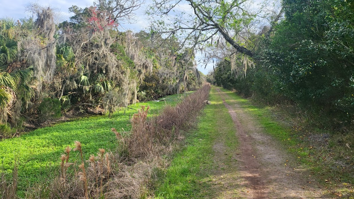 Egan's Creek Greenway Trail photo 8