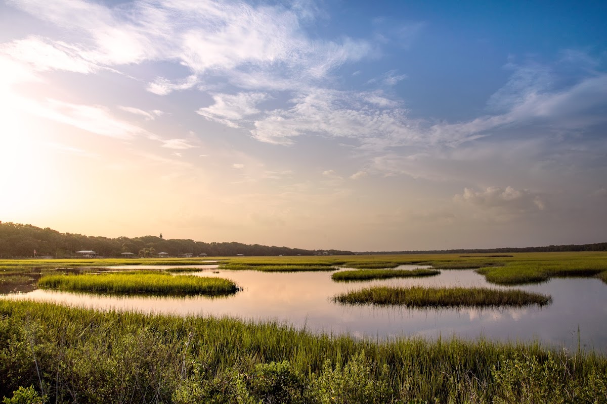 Egan's Creek Viewing Platform photo 1
