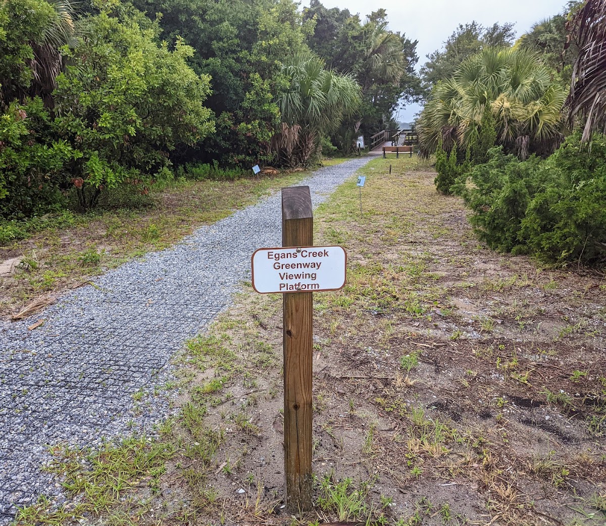 Egan's Creek Viewing Platform photo 3